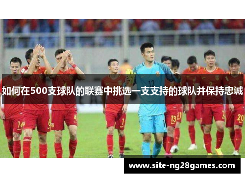 如何在500支球队的联赛中挑选一支支持的球队并保持忠诚
